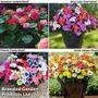 Garden Ready Container Collection