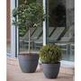 Ninfea Water Reservoir Planters