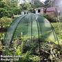 Brolly Cloche