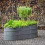 Flex Garden