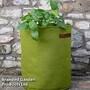 Vigoroot Pots and Planters