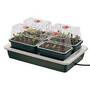 Fab Four Propagator