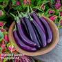Aubergine 'Purple Knight' F1