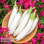 Aubergine 'White Knight' F1