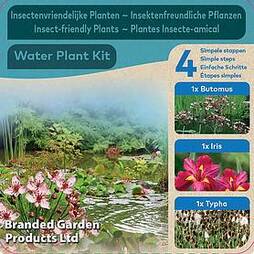 Insects Pond Kit