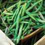 Climbing Bean 'Cobra'