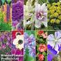 Bulb & Perennial Bumper Pack