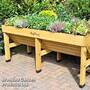 VegTrug™ by Vegtrug Ltd Classic (Medium)