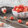 Cherry 'Bigarreau Napolean'