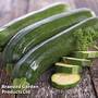 Courgette