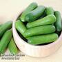 Cucumber 'Green Fingers' F1 Hybrid