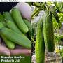 Cucumber Duo