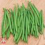 Dwarf Bean 'Caledonia'