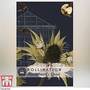 Eryngium giganteum 'Miss Willmott's Ghost' - Kew Pollination Collection