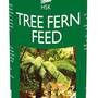 Tree Fern Feed