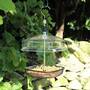 Kingfisher Hanging Mealworm Bird Feeder With Plastic Canopy