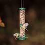 Jacobi Jayne Ring Pull Seed Medium Feeder 4 port