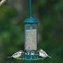 Brome Squirrel Buster Mini Seed Feeder