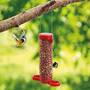 Get Set Go 2 Port Peanut Feeder
