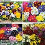 Garden Ready Autumn Collection