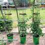 Self Watering Grow Pot Tower