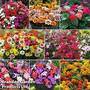 Garden Ready Bumper Collection