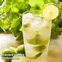 Herb 'Cool Mint'