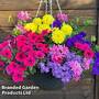 Tutti Frutti Pre-Planted Basket/ Pot