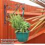 Mixed Herb Baskets