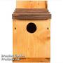 Classic Nest Box with Shingle Roof