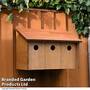Oakham Sparrow Terrace Nest Box