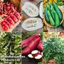 Nurseryman's Choice Vegetable Collection