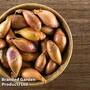 Nurseryman's Choice Shallots (Autumn)
