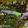 Pruning Saw