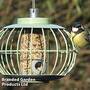 The Nuttery Squirrel-Proof Lantern Seed Feeder Celadon Green