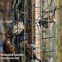 The Nuttery Squirrel-Proof Original Seed Feeder Ocean Green