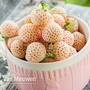 Strawberry Anablanca 'Snow White'