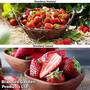 Fruit Strawberry Duo
