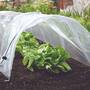 Easy Polythene Film Tunnel (3 Metre Standard)
