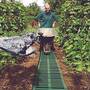 Garden Track