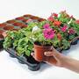 Grow On' Pots and Trays (Medium)