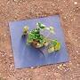 Organic Fyba Mulch Mats