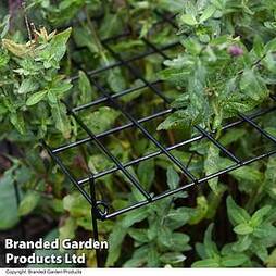 Rectangle Grow Through Grid Support