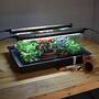 Geopod Heated Propagator