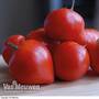 Tomato Gourmandia Grafted