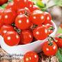 Tomato 'Crimson Cherry' (Grafted)