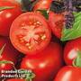 Tomato 'Crimson Plum' (Grafted)