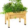 Vegtrug Classic small
