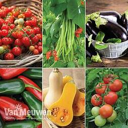 Nurseryman's Choice Vegetable Collection