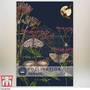 Verbena bonariensis - Kew Pollination Collection